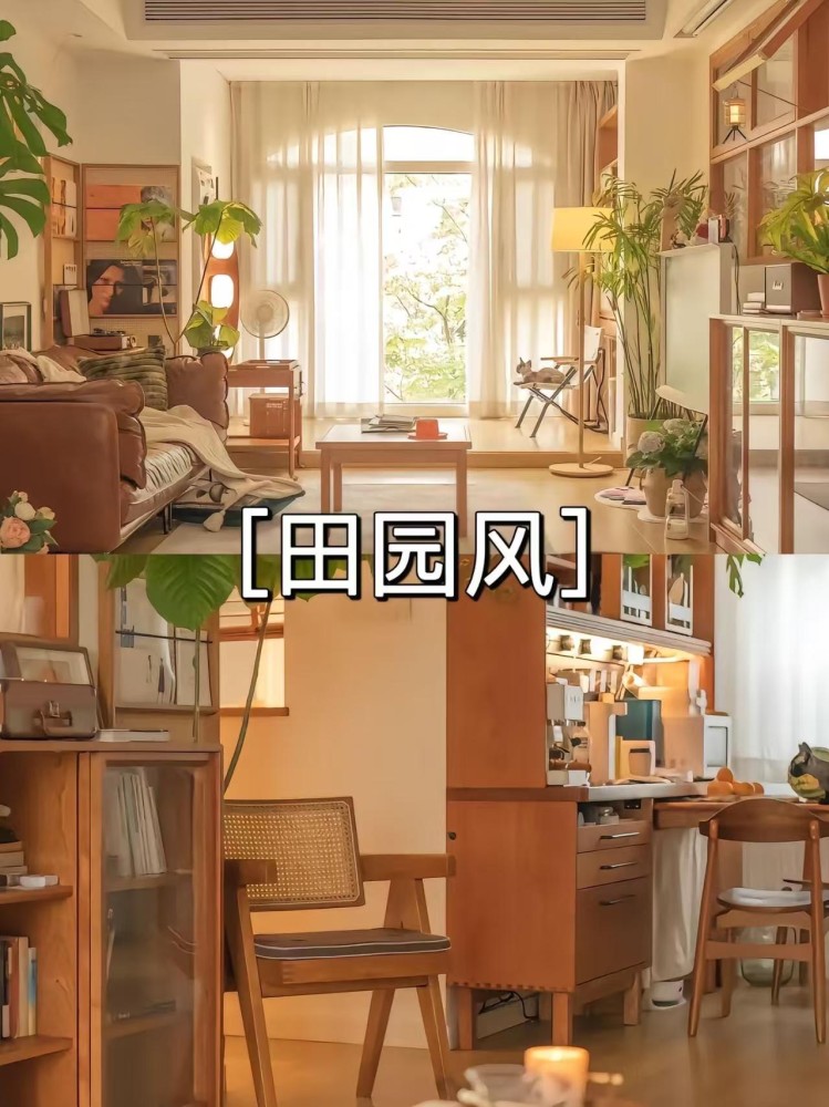 文章插图